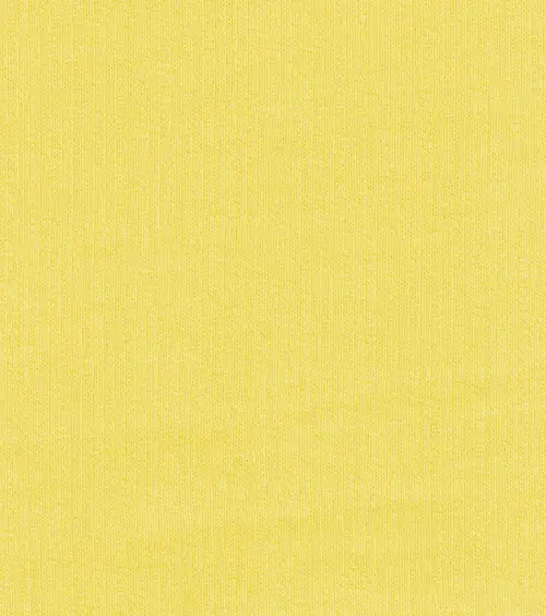 CCI20230918_0022-scaled