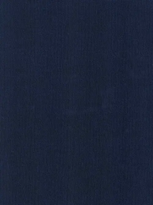 Navy-2