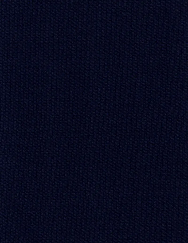 Navy-4-scaled